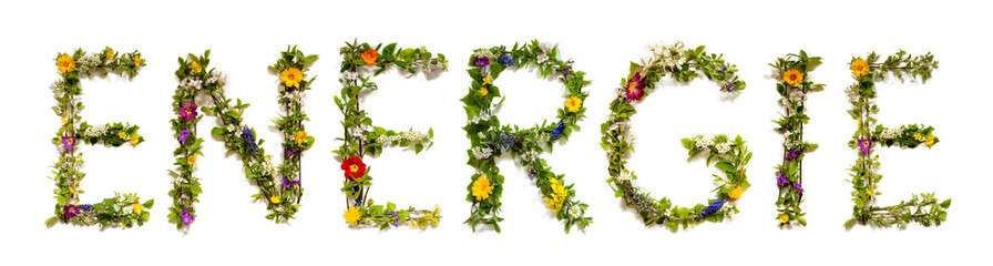 Blooming Flower Letters Building German Word Energie Means Energy