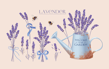 Set of high detailed lavender flowers elements © olga_igorevna