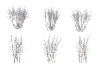 3D render forests and nature during winter