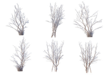 3D render forests and nature during winter