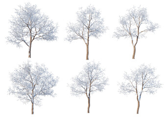 3D render forests and nature during winter