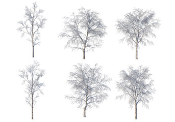 3D render forests and nature during winter