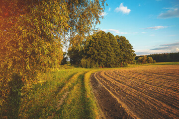 Rural landscape with arable field and dirt road. Dirt road along a plowed field. Countryside in the spring evening