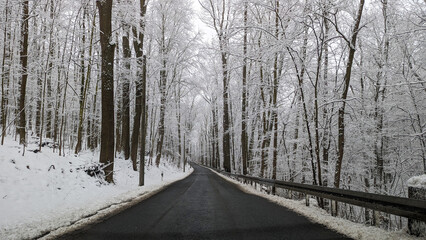 Schneebedeckte Straße im Winter - obrazy, fototapety, plakaty