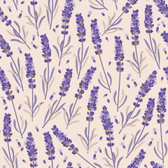 Vector seamless pattern with high detail lavender - 563849004