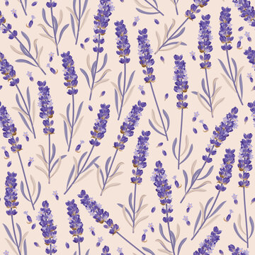 Vector seamless pattern with high detail lavender
