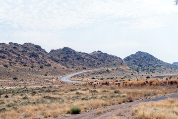 Landscape on road R63 near Victoria West