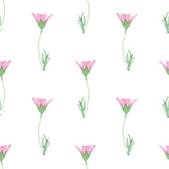Fototapeta premium Rose wild flowers pattern.Watercolor hand drawn floral print isolated on white background.