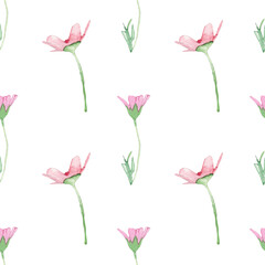 Fototapeta premium Rose wild flowers pattern.Watercolor hand drawn floral print isolated on white background.