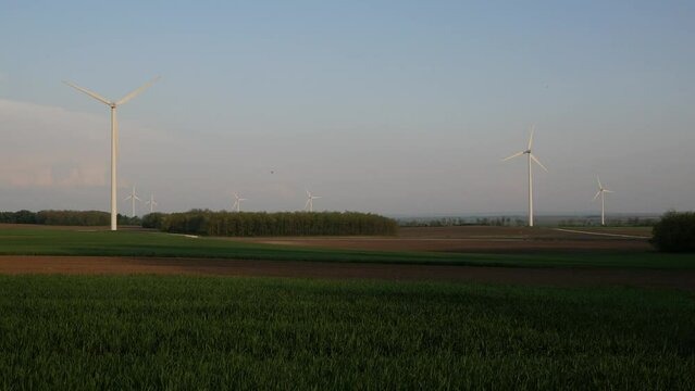 renewable energy, wind turbines, wind farm, solar panels, solar, energy, windmill, wind, energy, sun, sky, alternative energy, device, electric lines, electricity, field, grass, kinetic energy
