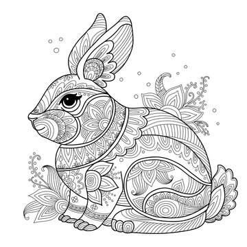 Rabbit with flowers adult antistress coloring page vector