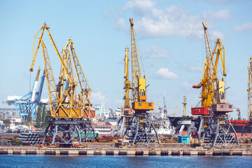 Fototapeta na wymiar Heavy lifting harbor cranes in the cargo seaport.