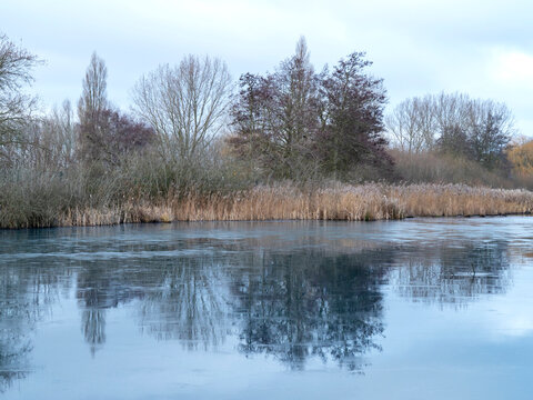 Frozen wetlands at Tophill Low near Driffield, East Yorkshire, England