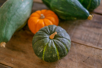 いろんなカボチャ