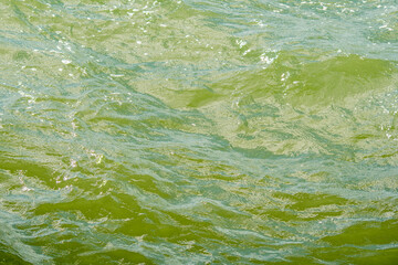 Background with the surface of the sea water with small waves. The water has a greenish hue.