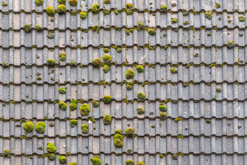 A horizontal texture of part of an old gray roof of clay tiles with green moss