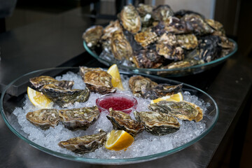 open oysters in a dish on ice on a background of oysters
