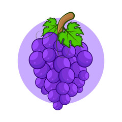 Grape fruit cartoon style illustration design