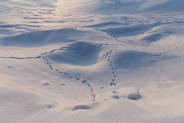 footprints in the snow