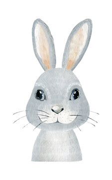 Hand drawn watercolor rabbit portrait.