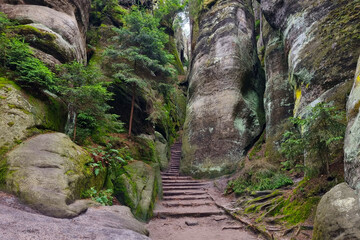 Beautiful hiking trail in the mountains. The rocks of the mountains in the forest.