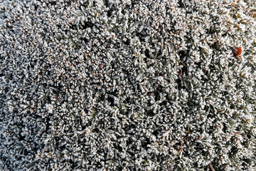 Daily life.  France.