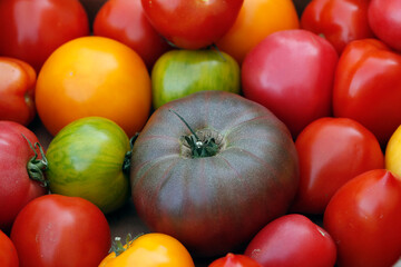 Daily life.  France.