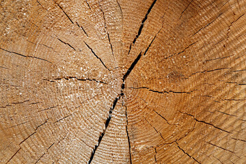 Daily life.  France.