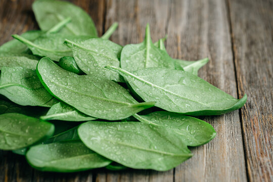 Wet fresh green baby spinach leaves on a wooden background.