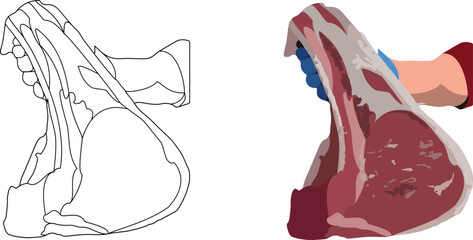 piece of rib eye steak in hand-