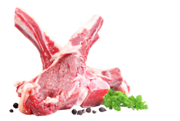 Raw lamb ribs isolated 