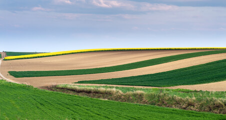 Agricultural land ready for spring