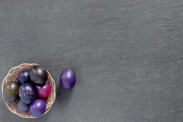 Lots of bird nests with painted Easter eggs on a dark tabletop. Holiday greeting card. Concept creative banner
