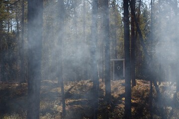 Outdoor loo in a smoky forest - 563867619