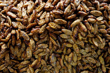 Daily life in Asia. Cambodia.