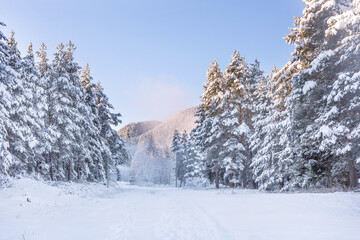Bansko, Bulgaria resort panorama with ski slope, snow cannon working and forest trees