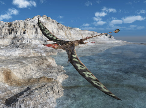 Flugsaurier Rhamphorhynchus über einer Küstenlandschaft