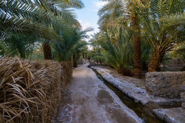 Views across the Khaybar heritage village and oasis in north west Saudi Arabia