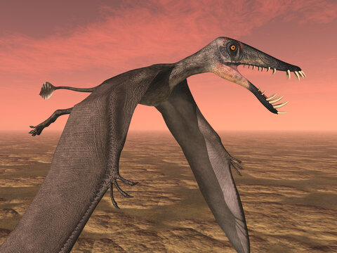 Flugsaurier Dorygnathus über einer Landschaft