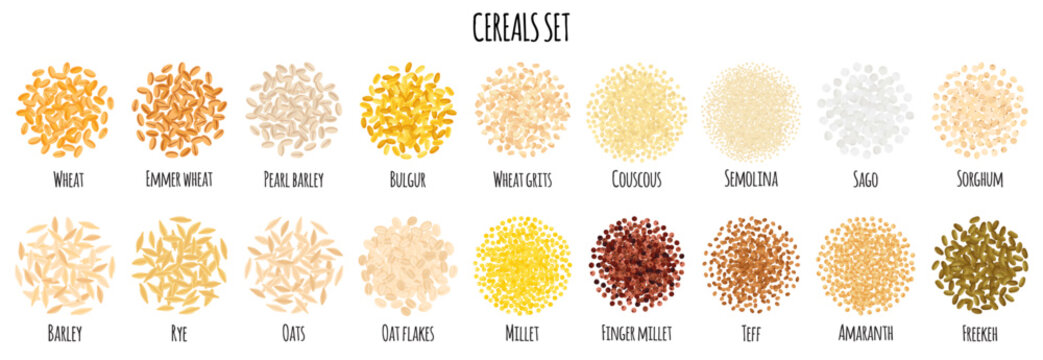 Cereals set with Wheat, Bulgur, Couscous, Semolina, Sago, Barley, Rye, Oats, Millet, Teff, Amaranth etc.