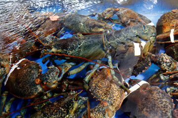 Daily life in Asia. Vietnam.