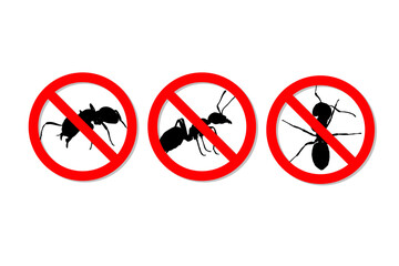Warning sign no ants vector design