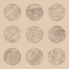 Set rings of topographic line map. Wood rings, vector line circle of outdoor concept. Outline pattern for outdoor logo templates. Contours of tree, concepts for expedition logotype.