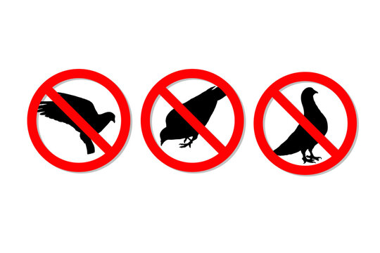 Warning sign no doves vector design