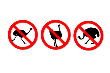 Warning sign no ostriches vector design