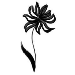 Tropical wildflower. Flower black silhouette isolated.