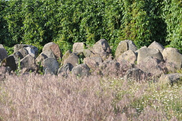 Cmentarz Żydowski, Kirkut, Pomnik Lapidarium, Węgrów, Polska, 