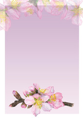 Fototapeta premium Watercolor illustration, a postcard with a pink background and a blooming cherry twig.
