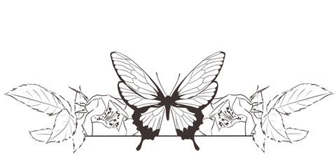 Floral line art border with insects and flowers