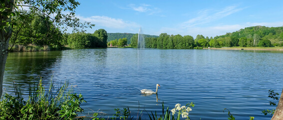 Echternacher See in Luxemburg im Sommer mit Fontaine und jungem Schwan